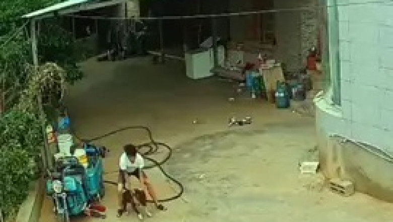 Home Alone... But With A Tiny Intruder