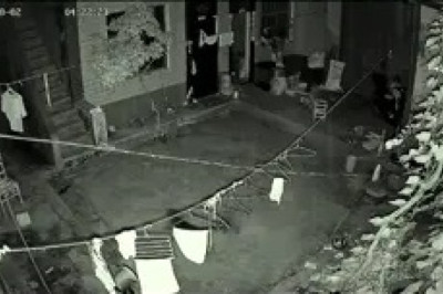 The Ultimate Showdown: Mongoose vs. Dog Comedy Battle!