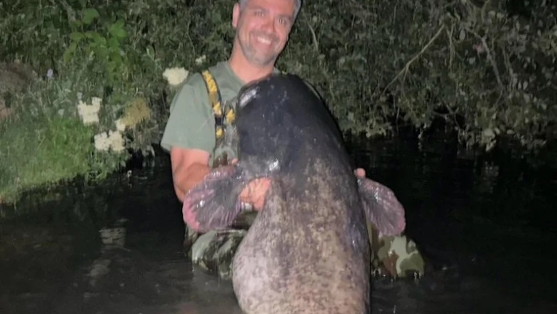 British Man's Birthday Battle: The Epic Tale of Conquering a Giant Catfish