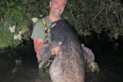 British Man's Birthday Battle: The Epic Tale of Conquering a Giant Catfish
