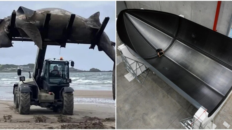 Prepare to Be Amazed: 14 Photos Revealing the Giant World We Live In!