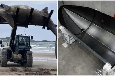 Prepare to Be Amazed: 14 Photos Revealing the Giant World We Live In!