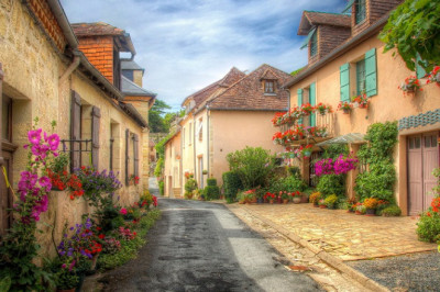 City Boy vs. Country Life: Hilarious Misadventures of a Man Who Bought a Village House!