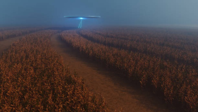 "Are Aliens Smarter Than Us? Survey Reveals Shocking Beliefs!
