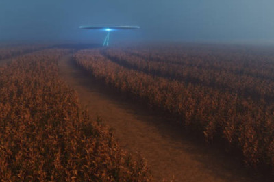 "Are Aliens Smarter Than Us? Survey Reveals Shocking Beliefs!