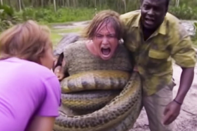 Snake Encounter Tips: How to Stay Safe and Avoid Bites!
