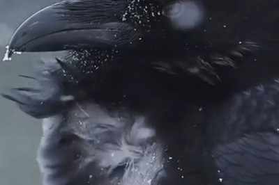 Stunning Capture: Raven Soars Through Snowstorm in Epic Photo!